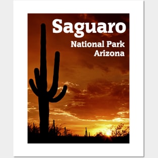 Saguaro National Park Posters and Art